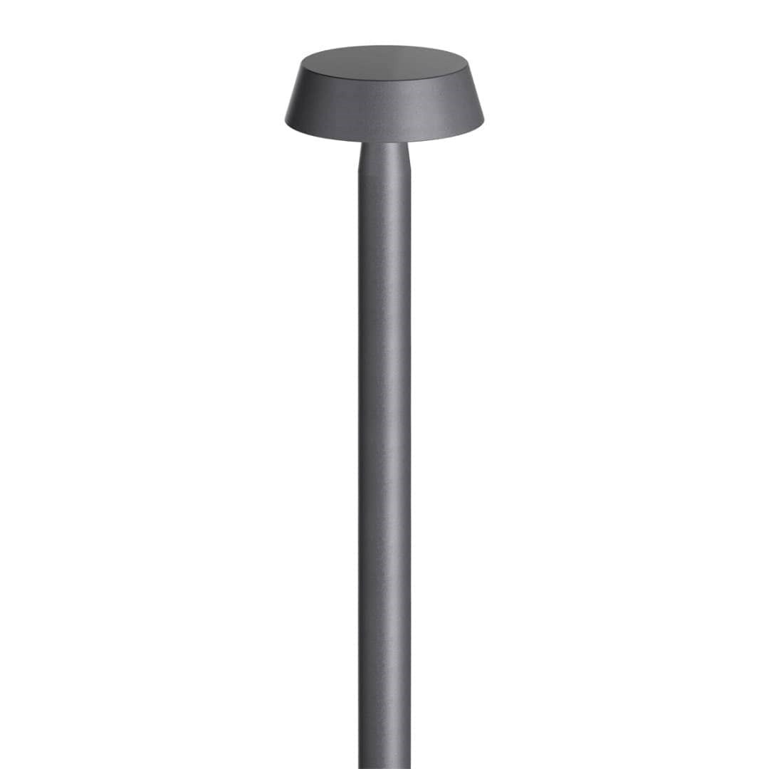 MaxiDisco