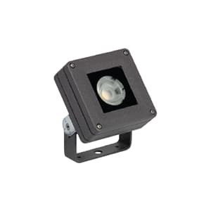 MicroFaro